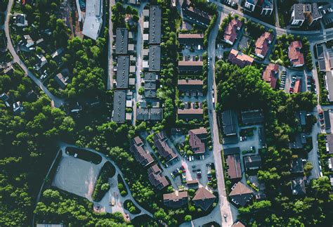 Image result for Apollo Pest Control