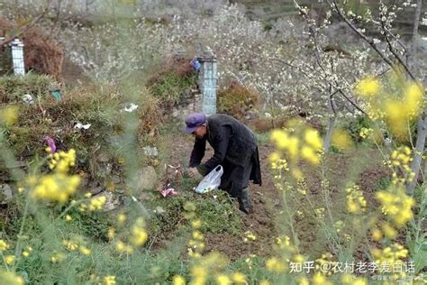 常上坟与不上坟的人，有什么不一样？_老三