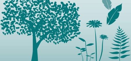 Explore Taxonomic Tree | U.S. Fish & Wildlife Service