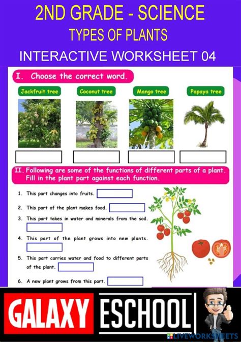 Image result for Class 2 Science Plant