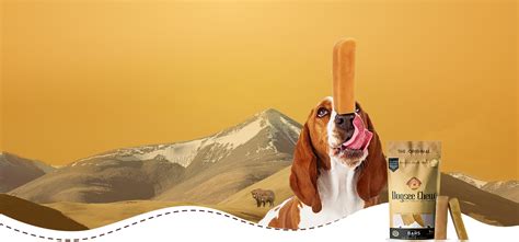 Our Himalayan Connect