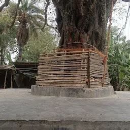 Best Top Rated Internet cafe in Patna, Bihar, India | Yappe.in