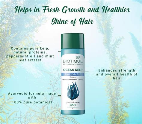 Ocean Kelp Anti Hair Fall Shampoo for Hair Growth | Biotique