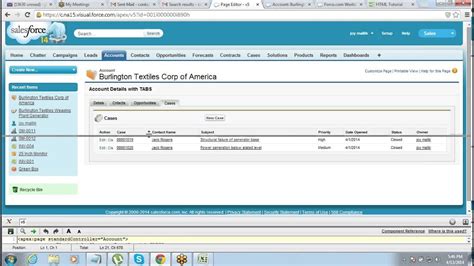 Visualforce Full Tutorial in Salesforce 的图像结果