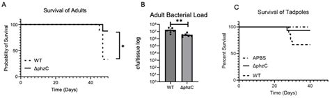 Exploring the Role of a Putative Secondary Metabolite Biosynthesis ...