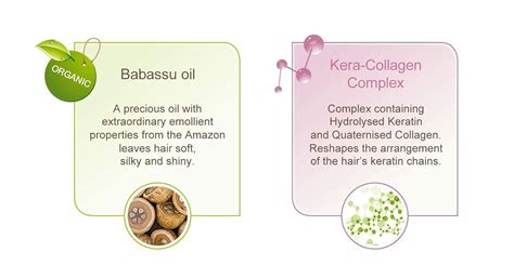 Lisse Design Keratin Therapy Maintenance Shampoo, India | Ubuy