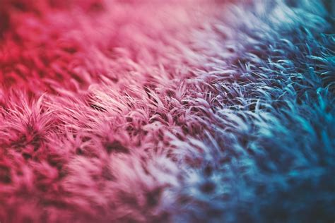 Pixabay Free Color 的图像结果