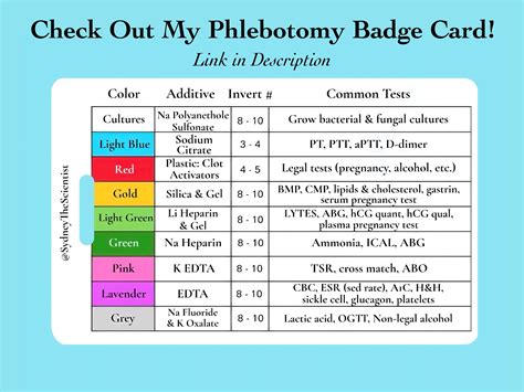 Phlebotomy Practice Kit Phlebotomy Study Venipuncture Blood Draw Vacutainer Butterfly Needle ...
