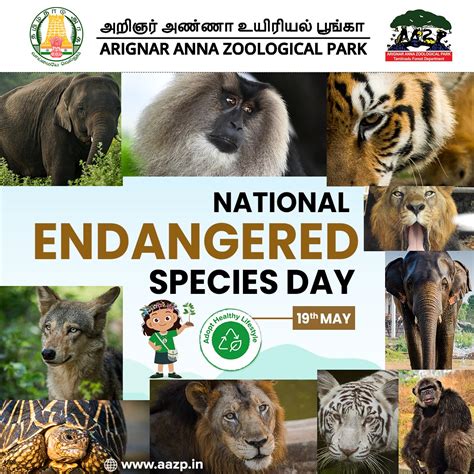 Arignar Anna Zoological Park - Vandalur Zoo - Chennai Tamil Nadu