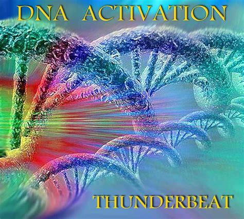 DNA Activation Code 的图像结果