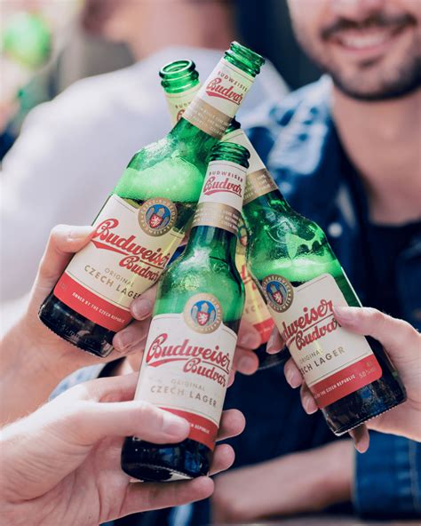 Image result for Microdraught Cans