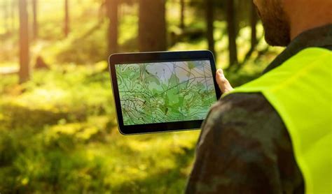 Image result for Forest and Trees Cyber Security Software