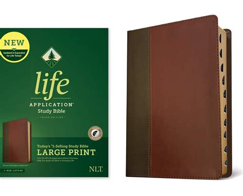 NLT Life Application Study Bible, Third Edition, Large Print (Red ...