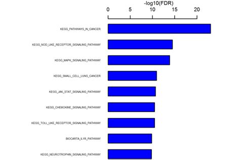 KEGG信号通路富集分析_kegg通路富集分析-CSDN博客