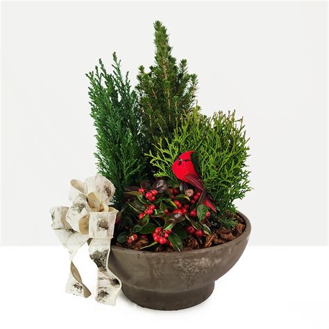 The Wesleyan - Moscarillo's Garden Shoppe