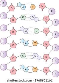 Image result for DNA Microarray Kit