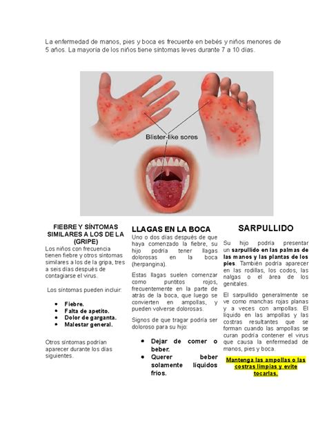 Enfermedad Boca Mano Pie En Ingles at Claire Melrose blog