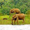 Vagamon - Thekkady - Munnar | SouthGuru Holidays