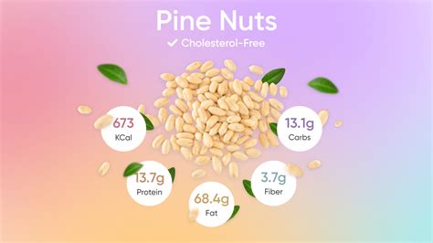 Pine Nuts Facts, Calories, Health Benefits And Side Effects - BetterMe