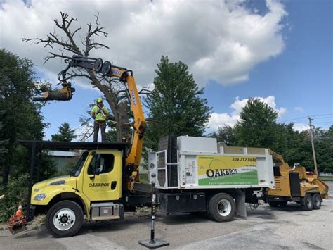 Image result for Remote Control Tree Removal