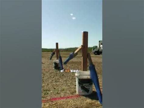 Image result for MythBusters Best Experiments