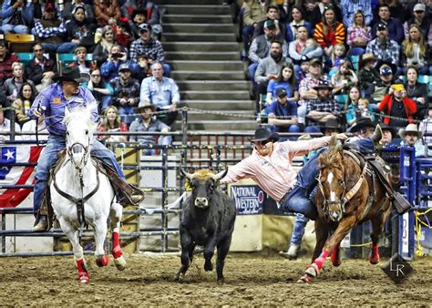 Rodeo Sydney 2025 | Discover Rodeo Events & Championships In Sydney