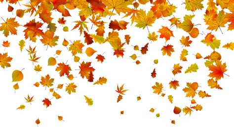 Free Fall Leaves Clipart, Download Free Fall Leaves Clipart png images ...