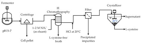 Challenges and Advances in the Bioproduction of L-Cysteine