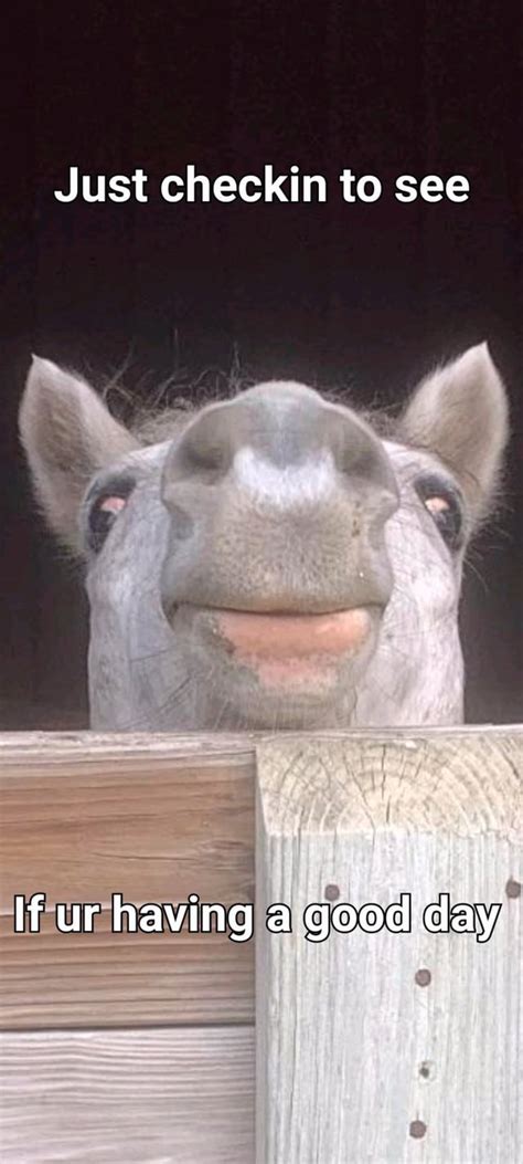 Just Check and Add.com 的图像结果