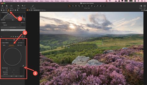 Image result for Capture Editor