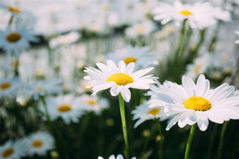 Image result for HTML Framework Practice