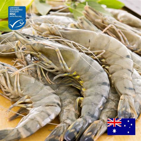 Black Tiger Prawn – Ifish Hong Kong