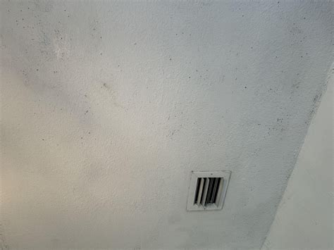 Image result for Remove Mold From Textured Ceiling