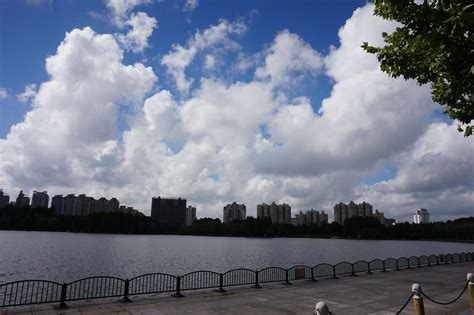 【携程攻略】上海世纪公园景点,今年5月开始65岁以上老人可以免费参观公园了。园内种植了很多各个季…