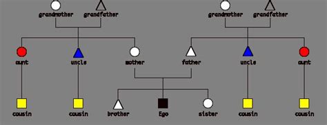Aboriginal Skin Names: Complex Kinship Categories & Social Structure