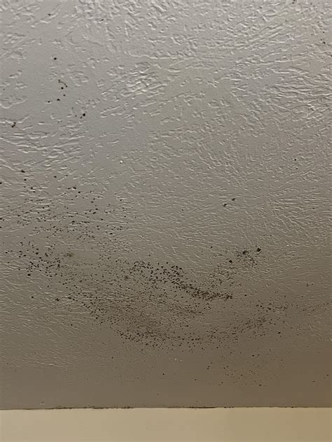 Mold On Your Bathroom Ceiling