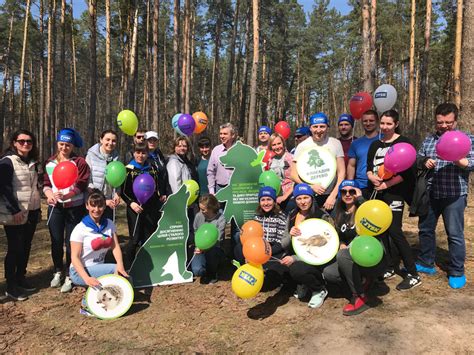 JYSK plants FSC forest in Ukraine | GOJYSK.com