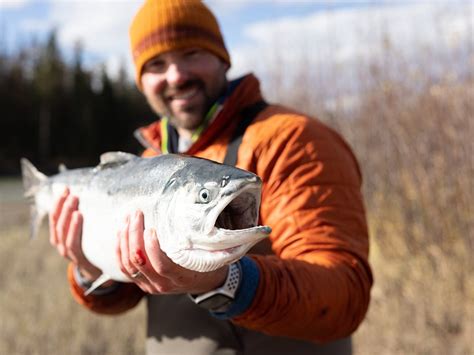 KENAI FISHING COMPANY (Updated 2026) All You Need to Know BEFORE You Go ...