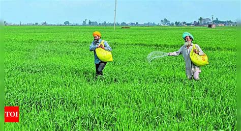 No hike in fertiliser prices, says government, offers Rs 24,420 crore ...