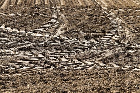 Dirt Sportsfield 的图像结果