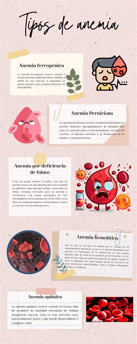 Celulas De Anemia Perniciosa Anemia