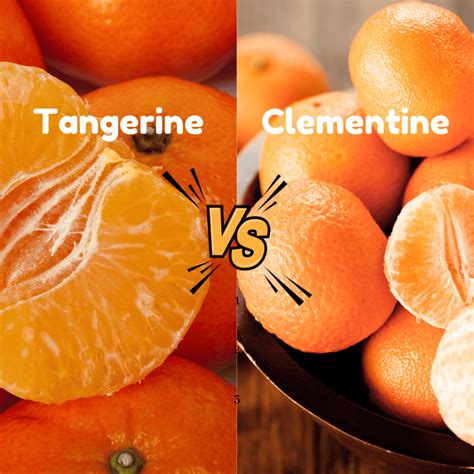 Tangerine vs. Clementine: What Are The Differences? • Recipes and Places