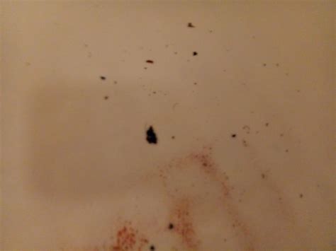 HOLIDAY ROYALE RESIDENCES & SELF STORAGE (Las Vegas) - Apartment ...