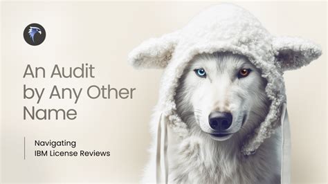 Image result for Software License Audit