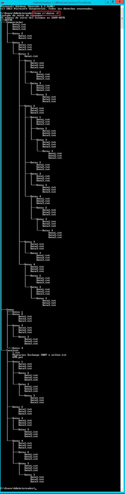 Image result for Cmd Tree Code