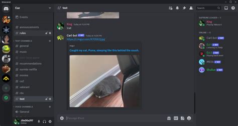 Carl Bot Logging 的图像结果