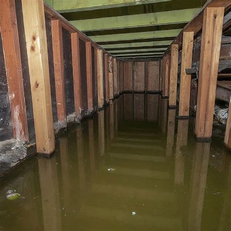 Emergency Water Removal: The Ultimate Guide - Go Green Restoration