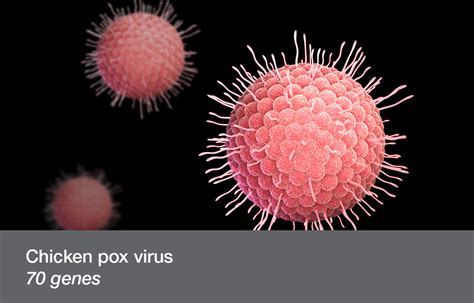 Genome Explained 的图像结果