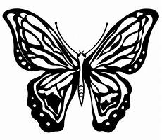malvorlage schmetterling erwachsene 97 einzigartig ausmalbilder schmetterling mit blume malvorlage schmetterling erwachsene 97 einzigartig ausmalbilder schmetterling mit blume