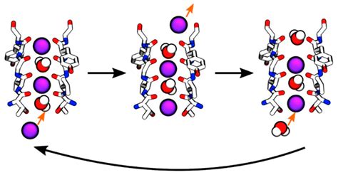 Displacement Current in Classical and Quantum Systems